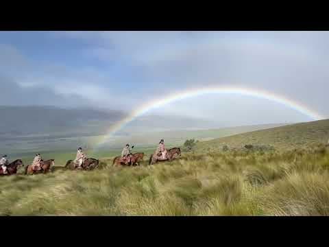 Horse riding Cotopaxi aega