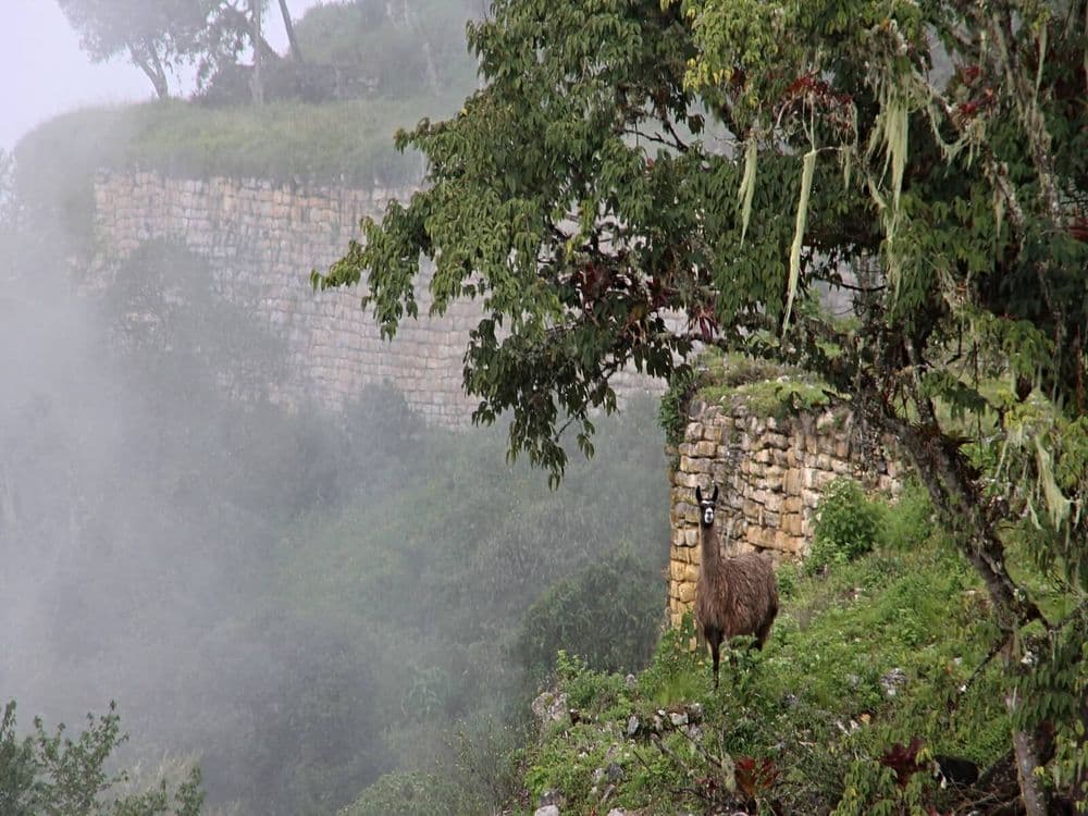 Chachapoyas1 (1) (1)