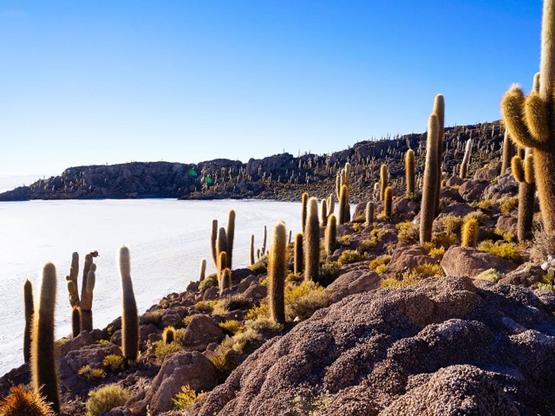 Salar de Uyuni Bolivien: Highlights soweit das Auge reicht