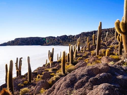 Salar de Uyuni Bolivien: Highlights soweit das Auge reicht