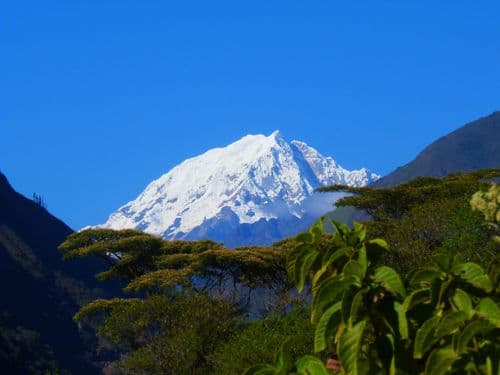 Image without description