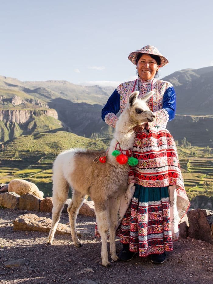 canon cañon colca export for tourcert llama peru vivideo Peru