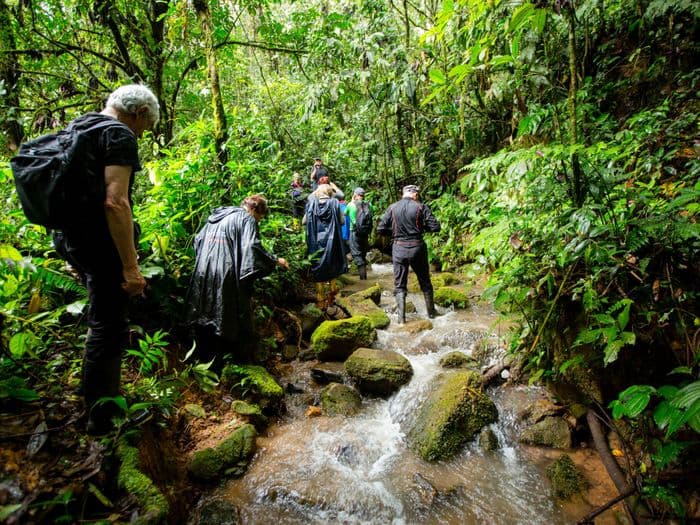 amazonas archidona djungle ecuador vivideo 854 - Exploring the Amazonas in Archidona, Ecuador