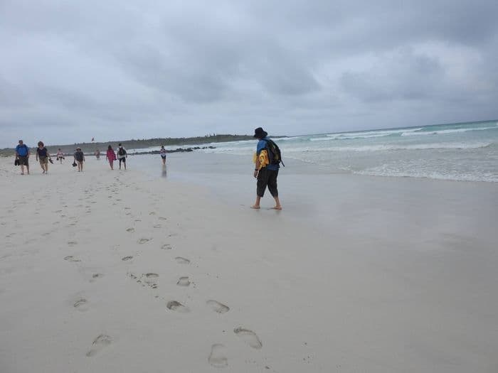 Hetmut tanzt und geht zurück, 