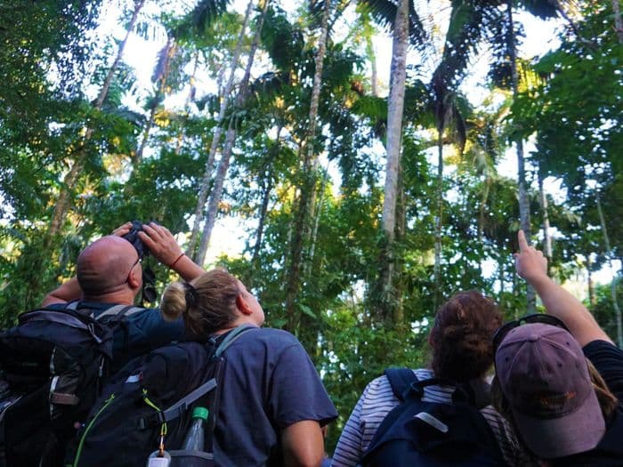 Tambopata National Reserve - Puerto Maldonado
