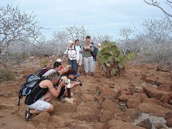 "Erste Begegnung mit der Tierwelt von Galapagos"