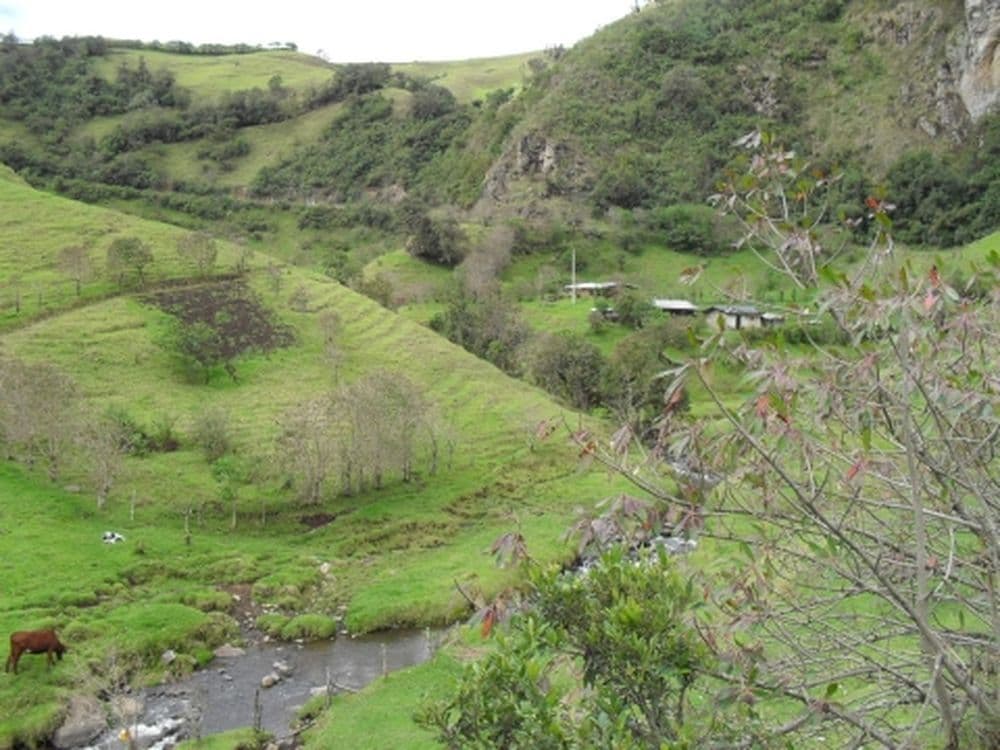 Route zwischen Popayan und San Agustin