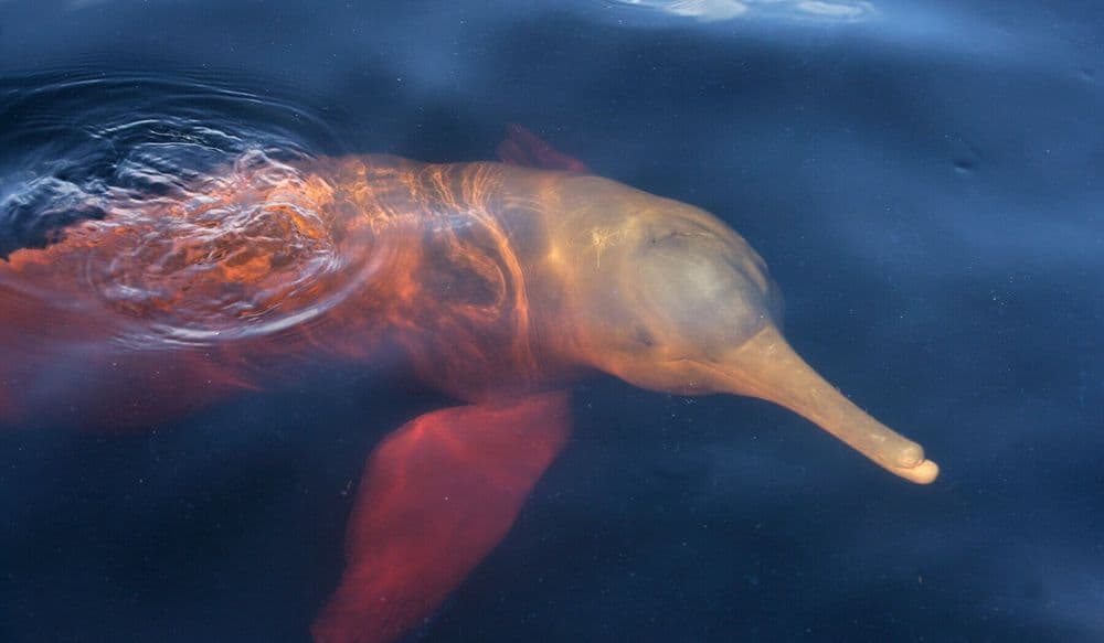 18-Jul-15-2024-11-05-26-2952-AM (1)