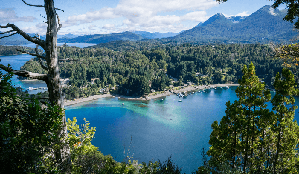 VIV 04.25 Tree Planting (6)