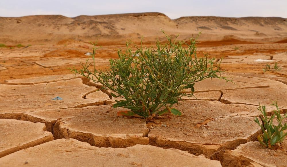 desert-ge9360bdf5_1920