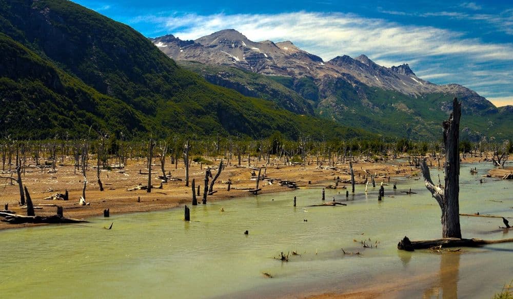 patagonia_BP_viv_09.22-6 (1)