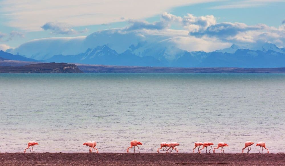 patagonia_BP_viv_09.22-8 (1)