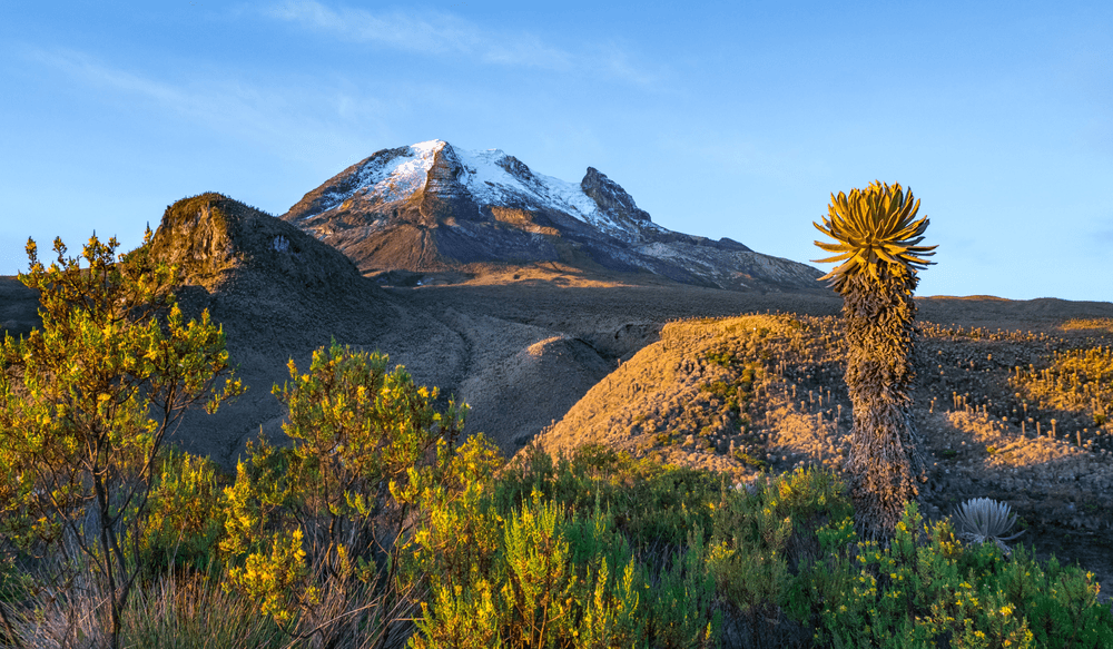 VIV_BLOG_07.25_CANVA_Los Nevados National Park Trek, Colombia