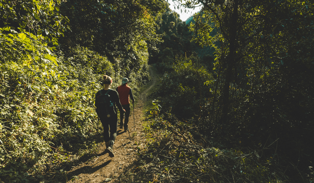 VIV_BLOG_07.25_OWN_Salkantay Trek Cloud Forest