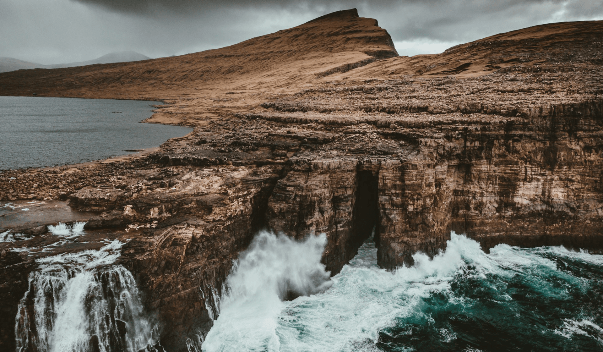 Die Tiere der Galapagosinseln