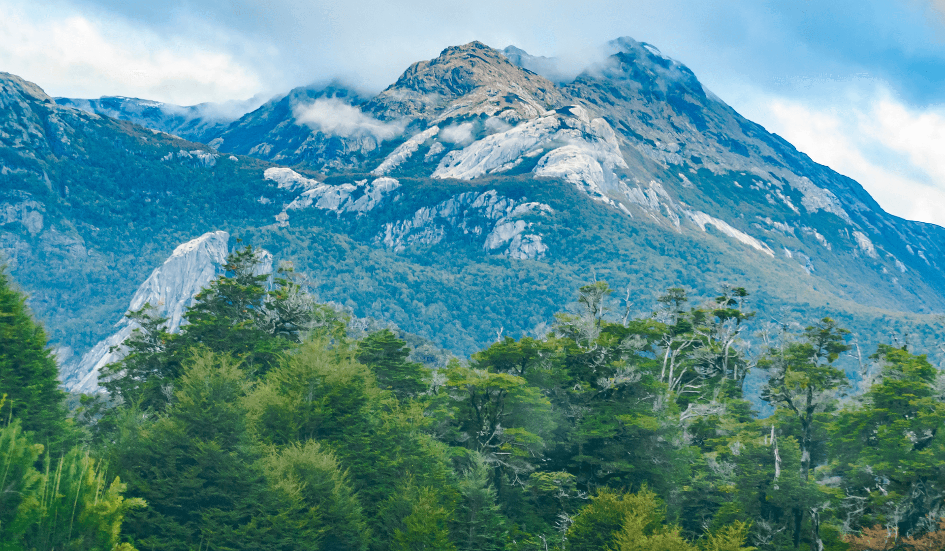 Viventura forstet auf: Bäume pflanzen in Patagonien!
