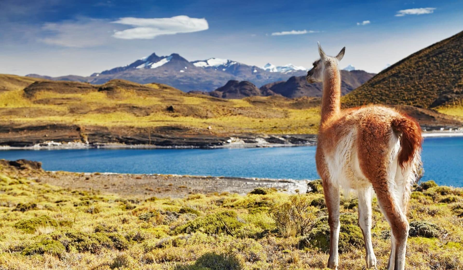 Alles, was Du über Patagonien wissen musst