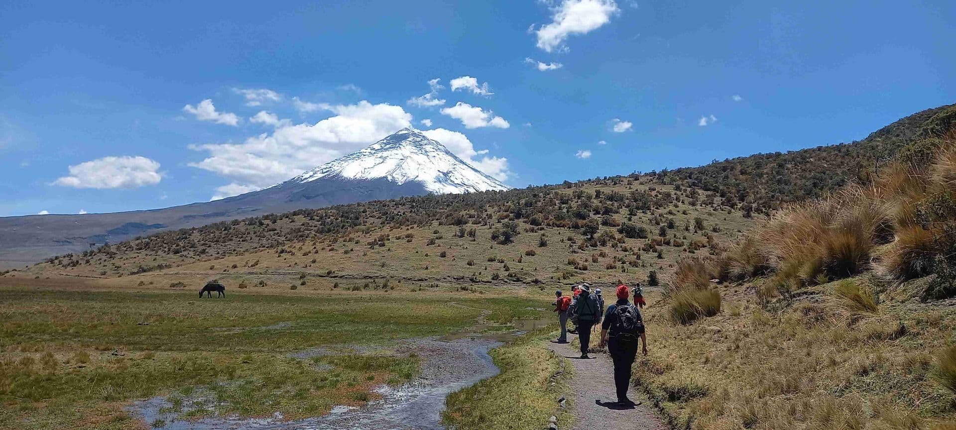 Cotopaxi Vulkan