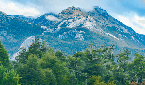 Viventura forstet auf: Bäume pflanzen in Patagonien!