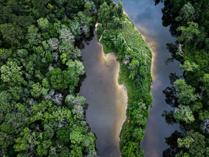 Amazon Forest Risks