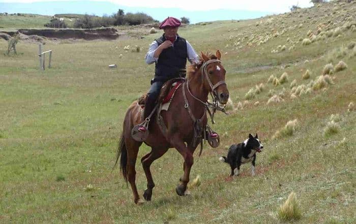 Estancia El Gapón El Calafate