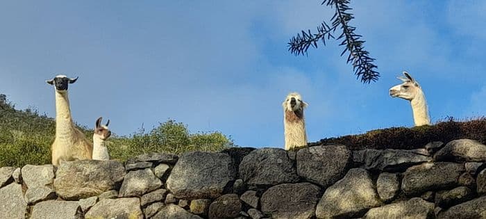 cper 77937 15/04/2023