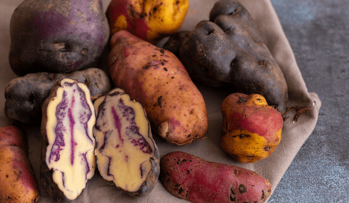 CSR biodiversity – peruvian potatoes