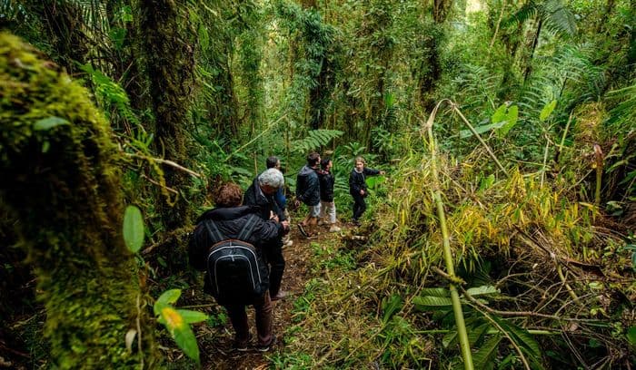 Mitten im Amazonas Regenwald