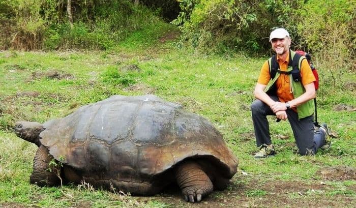 Galapagos-tortues-géantes