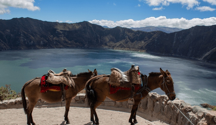 Plateaux andin voyage équateur
