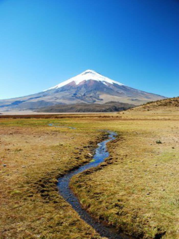 Le Cotopaxi dans la plaine du Limpiopungo