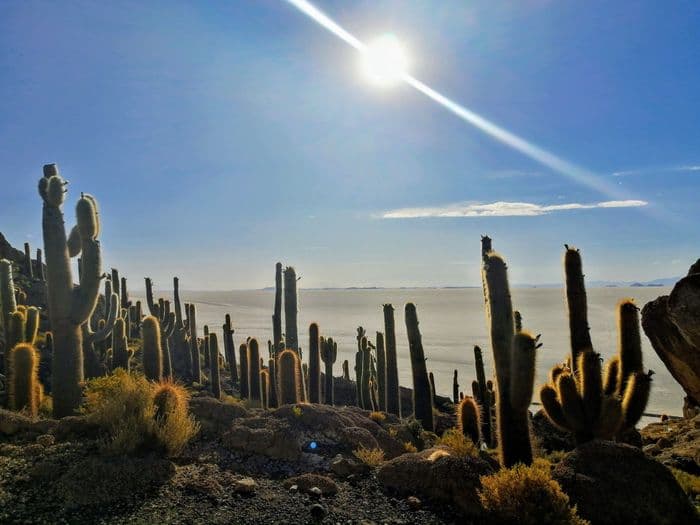 Bei der Inkawasi Insel bestaun