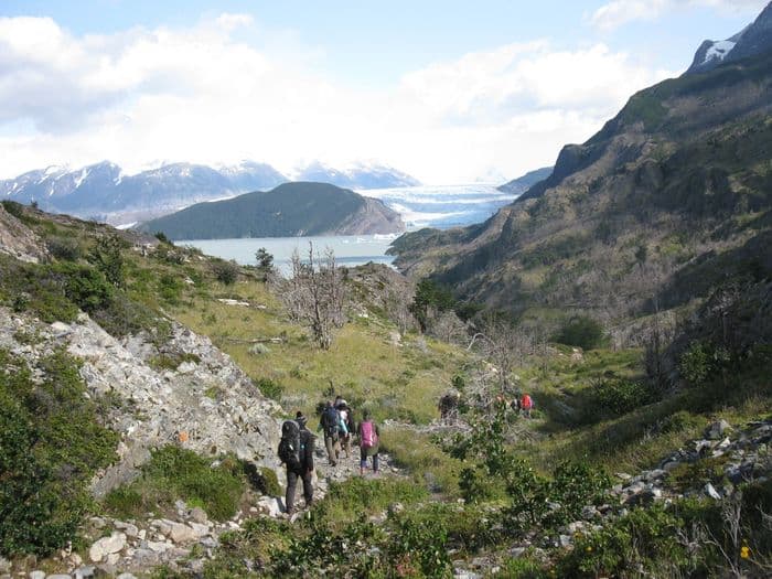 Spur zum Grey Gletscher