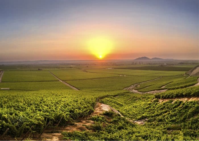 Vinas Quierolo Hotel Ica