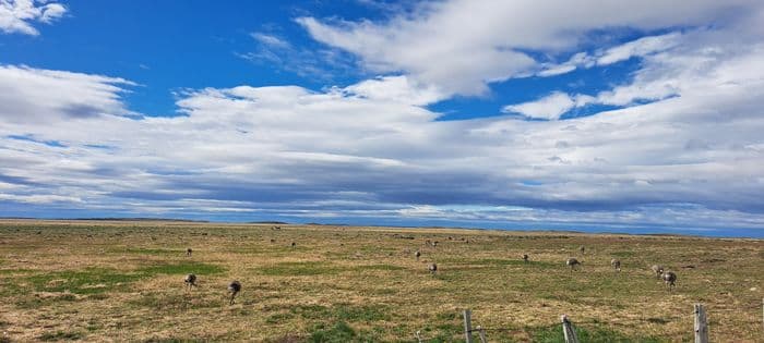 Mit dem Bus von Punta Arenas nach Puerto Natales