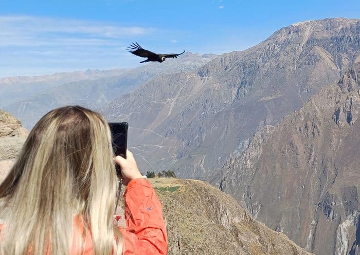 Dia 8 kreuz des kondors