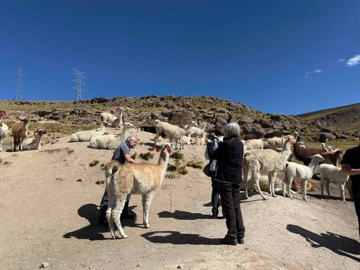 Auf dem Weg zur Colca Schlucht